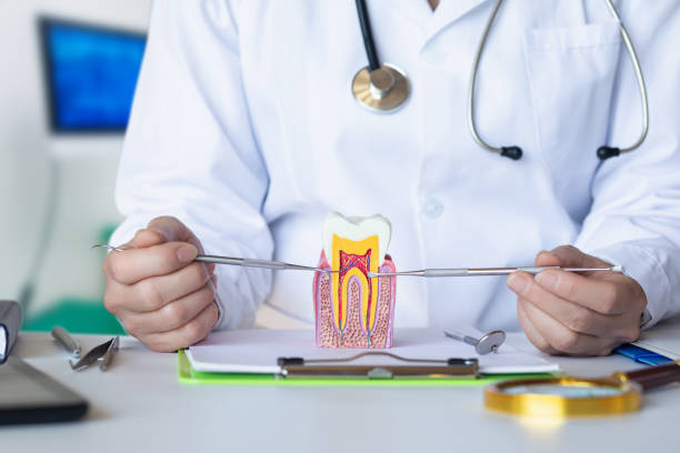 Best Pediatric Emergency Dentist in Foreman, AR